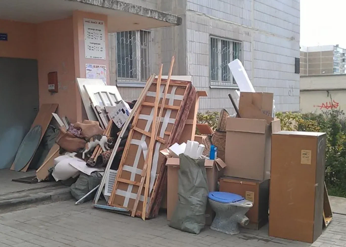Профессиональный вывоз мусора из квартиры в Сестрорецке в октябре
