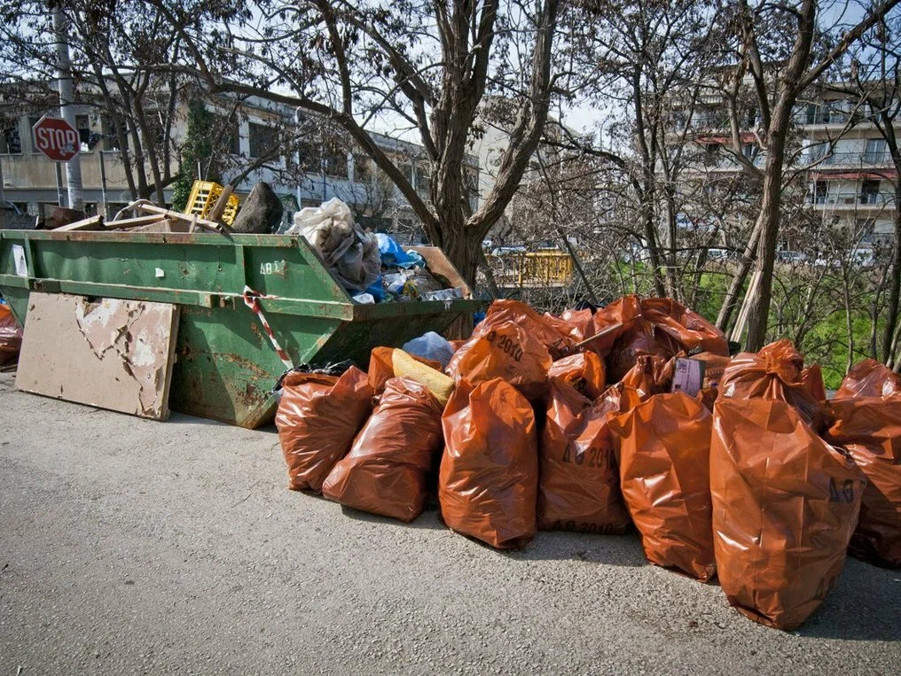 Круглосуточный вывоз мусора в Сестрорецке в октябре