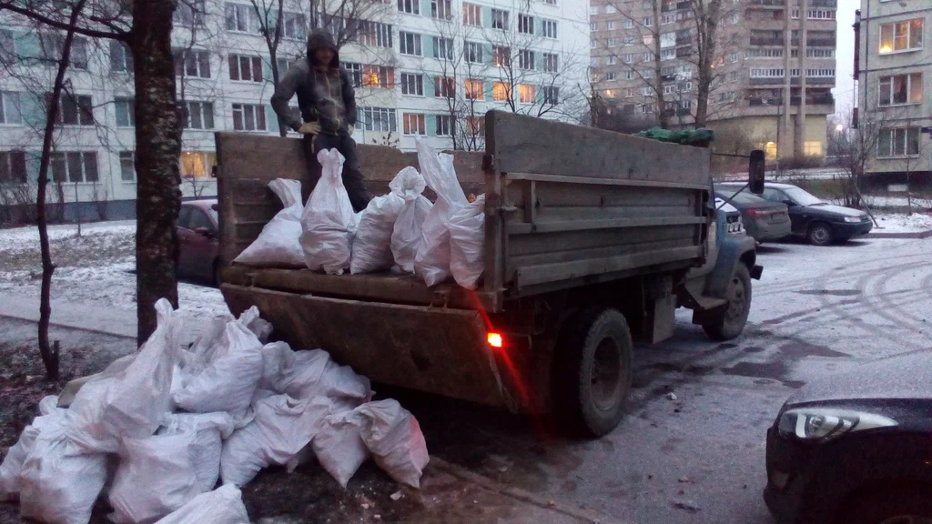 Вывоз мусора в мешках в Сестрорецке в октябре