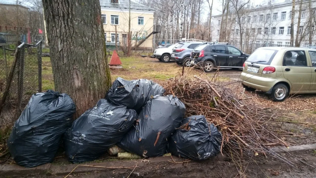 Вывоз мусора после субботника в Сестрорецке от ПроМусор – уборка и утилизация отходов от 2409 руб