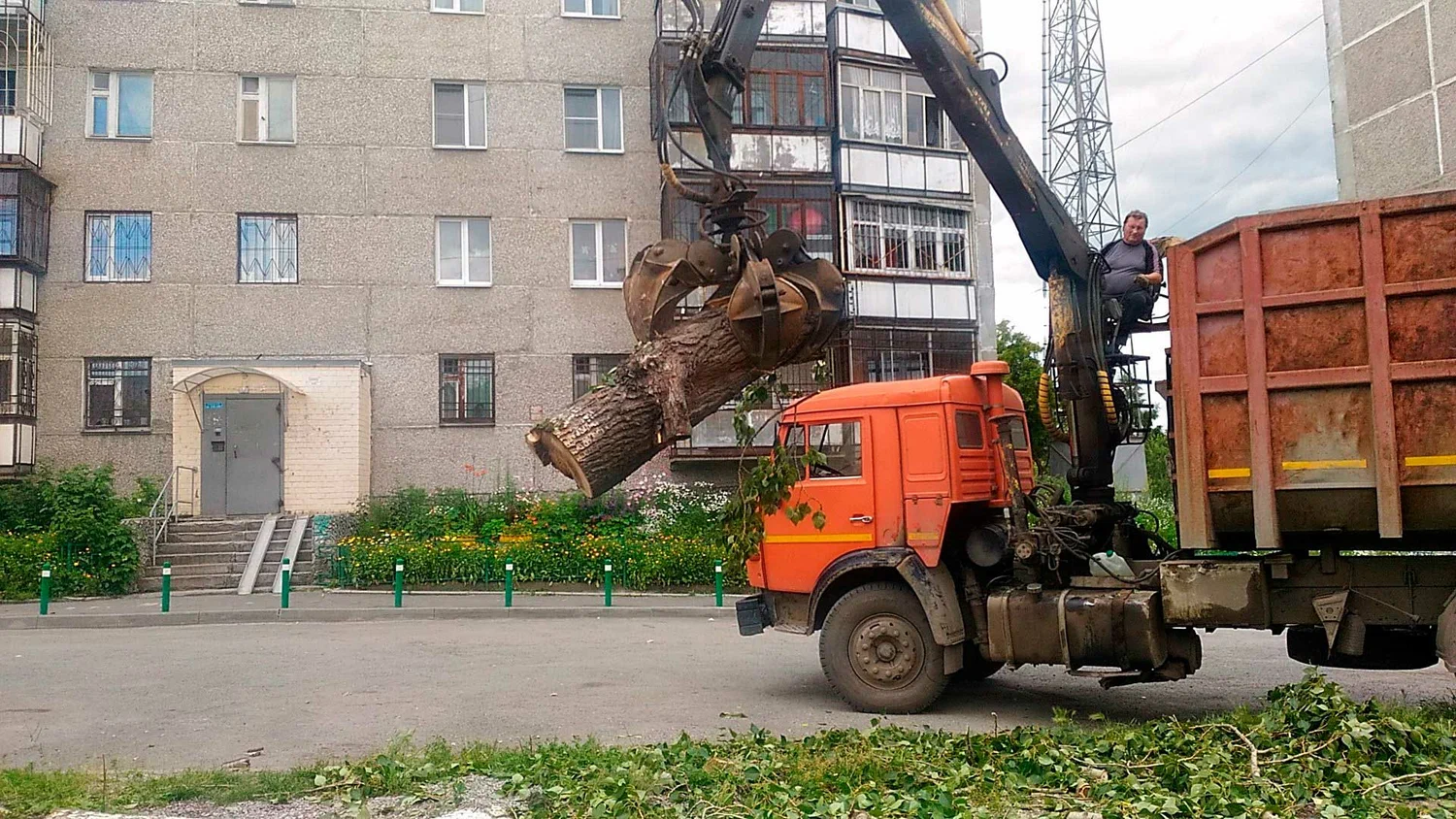 Вывоз спиленных веток и деревьев в Сестрорецке от ПроМусор: порубочные остатки, утилизация, цена от 2972 руб