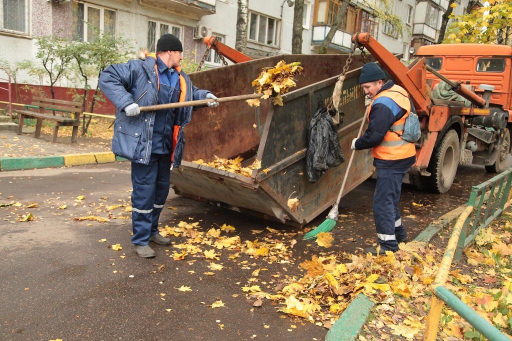 Вывоз опавшей листвы и растительного мусора в Сестрорецке от ПроМусор – цена от 4612 руб., быстрая уборка и утилизация