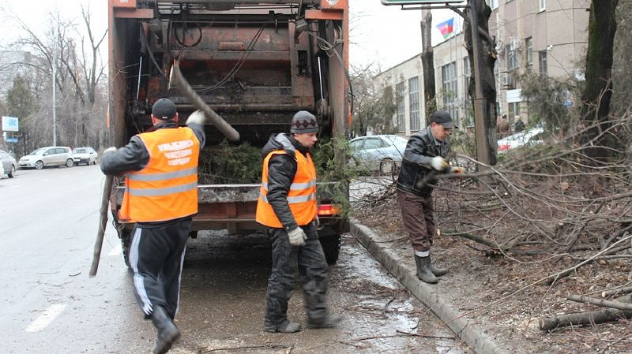 Уборка после стихийного бедствия в Сестрорецке от 2921 руб